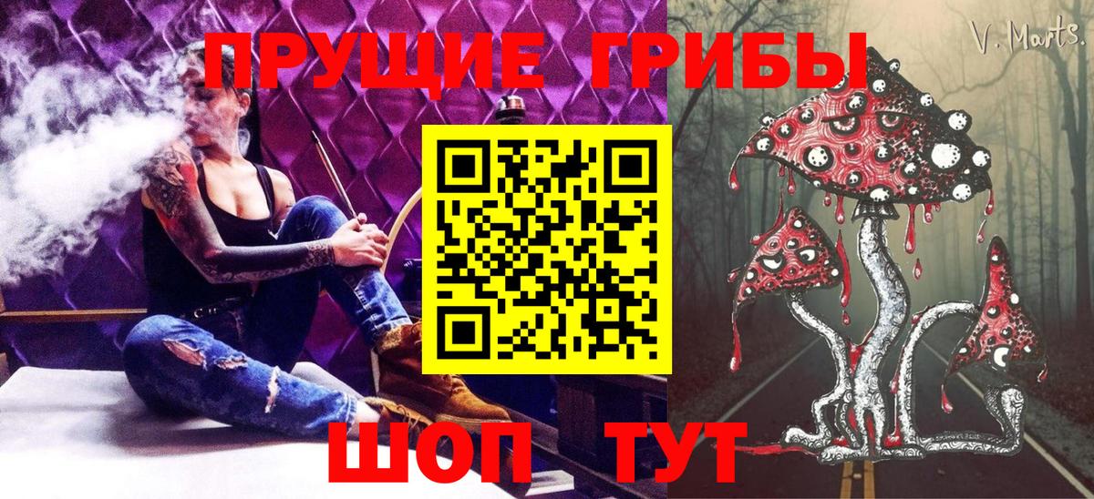 Псилоцибиновые грибы Psilocybe Соликамск