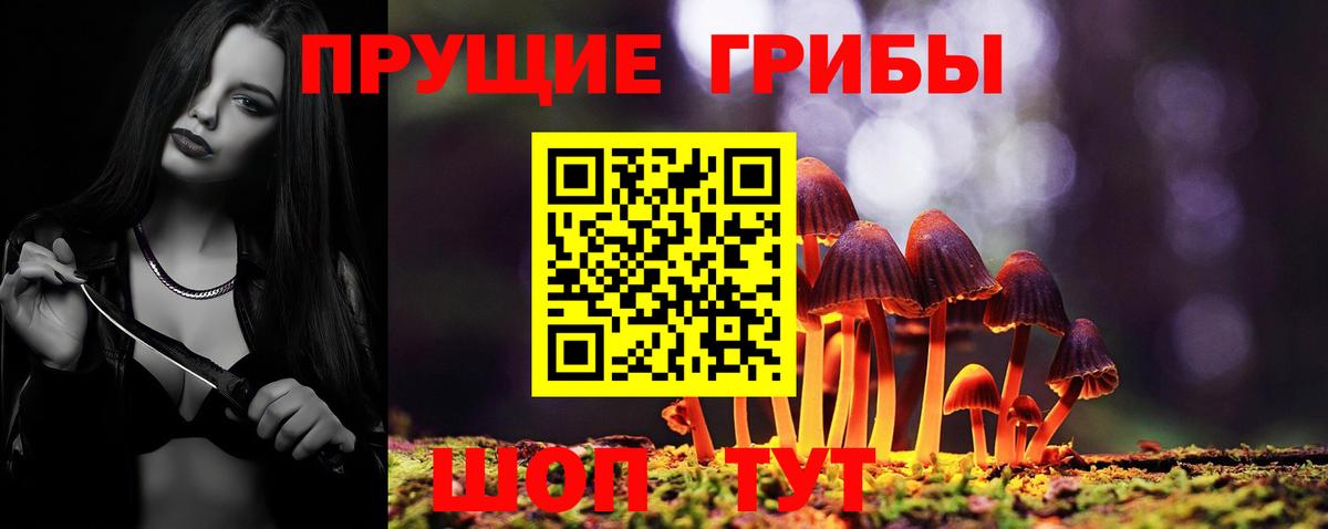 Соликамск  Галлюциногенные грибы мухоморы  Вход с VPN 